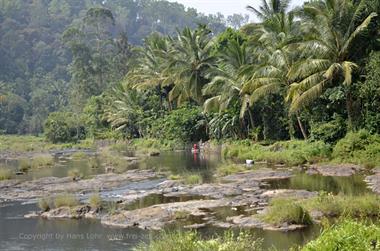 Periyar N.P., Thekkadi_DSC7434_H600